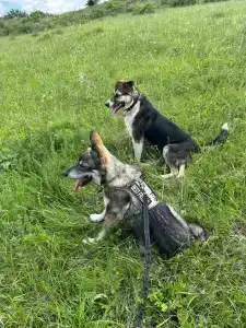 Медовые холмы - 32