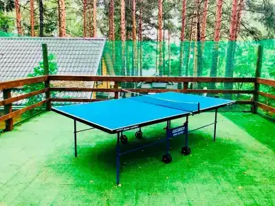 Дача Сосны-Лес - 18