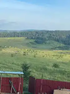 Октан - 5