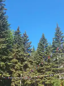 Волжанка - 11