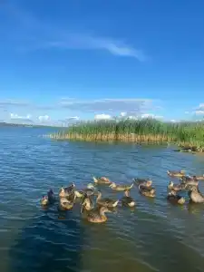 Клёвое место - 47