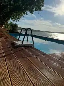 Амбассадор - 53