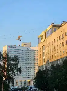 Сити Отель  - 80