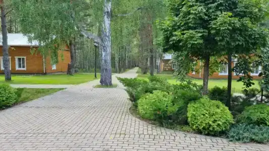 Березкина Заимка - 82