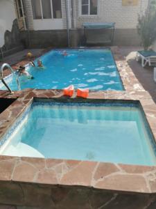 Дельфиния - 34