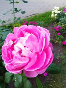 Энергетик - 79