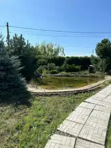 Мишкина Дача - 21
