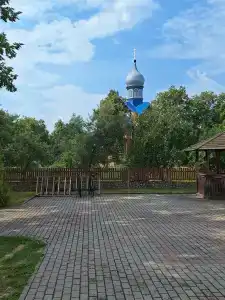 Беловежская пуща. №2 - 21