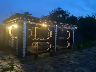 Веселый Кабан - 23