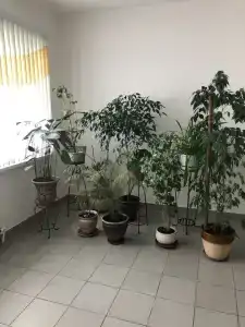 на Валге - 81