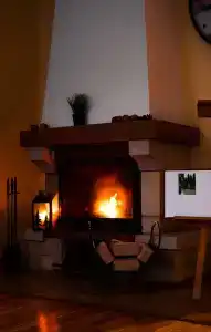 Скворечник - 29