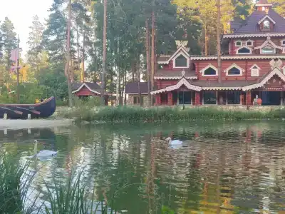 Лесная сказка - 0