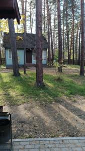 Республика Гайдар - 21