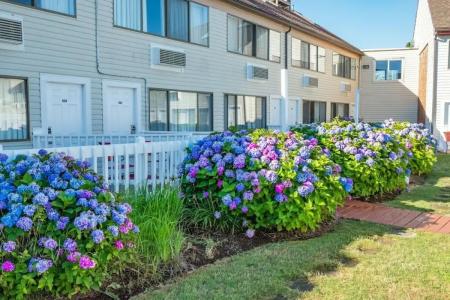 The Admiralty Inn & Suites - 4