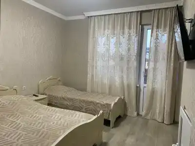 Агава - 4