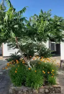 Пансионат Сказка - 12