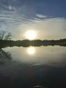 Красный Бор - 36