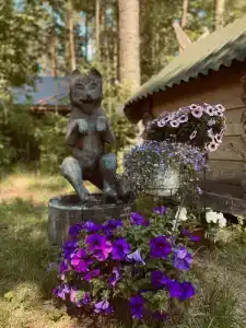 Остров Зеленый - 7