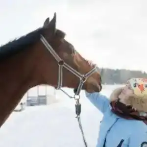 Конный Двор в Пржевальском - 99