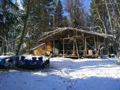 Глушь - 21