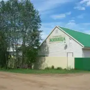 Живица - 1
