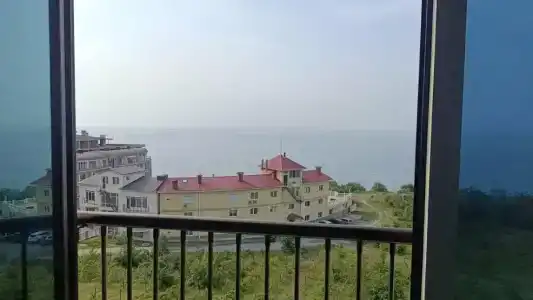 Пальма - 5