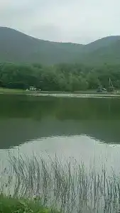 Скелепарк - 65