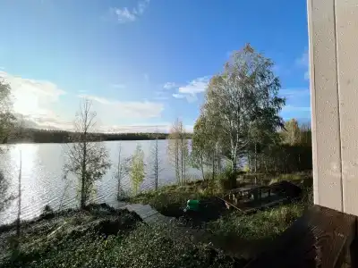 Лунный свет - 44