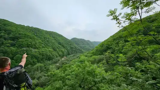 Приют Дара - 36