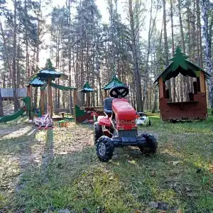 Домик в лесу - 89