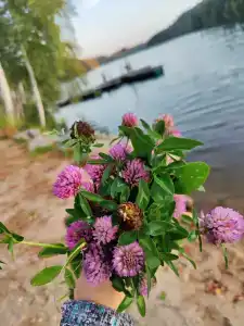 Карельские Лага - 4