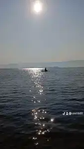 Катунь - 7