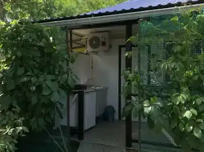 АзовХолидей - 80