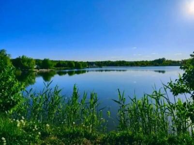 Монахов пруд - 56