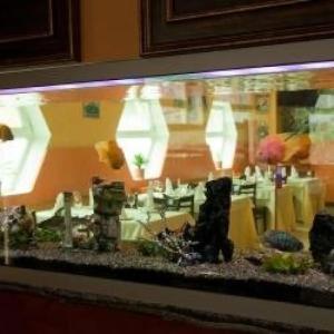 Навигатор - 52