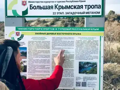 Астерия Меганом - 41