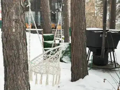 Сосна - 29