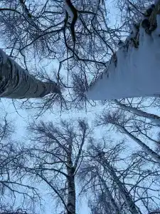 КаньонPark - 43