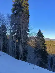 Горное Эхо - 23