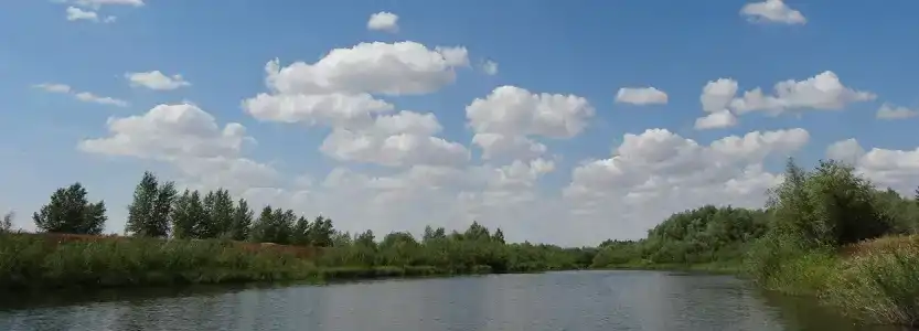 Имение Черновых - 16