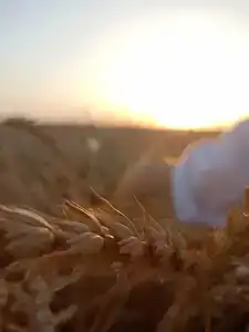 Морская дача - 51