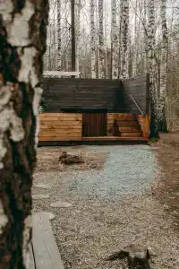 Forest story - 23
