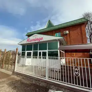 Фламинго на Тургенева - 2