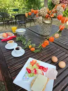 Garden40 - 7