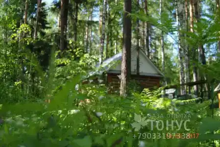 Тонус - 6