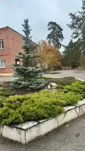 Радуга - 6
