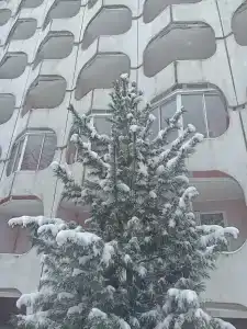 Юбилейный - 49