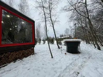 Икс-Лес - 25