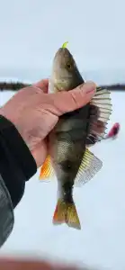 Северный- Остров рф - 28