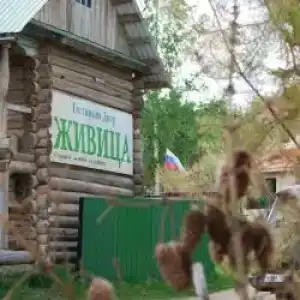 Живица - 46